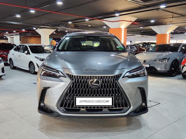 2023 Lexus NX250 Luxury - 1