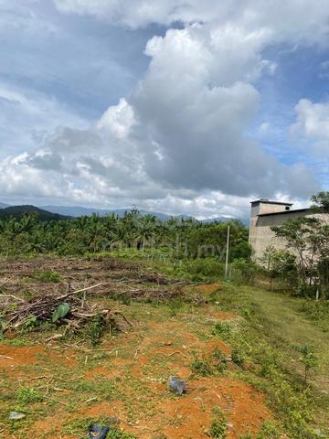 tanah pertanian (tepi jalan) LOT15346 RTB.KERONG,PELONG,SETIU,TRGANU 1