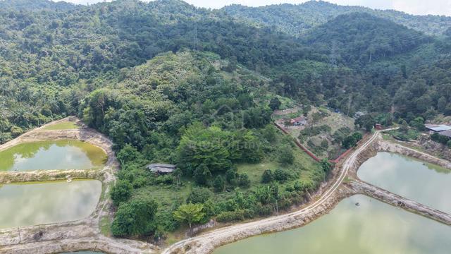 6.38 Acres Freehold Hilly Agricultural Land Pantai Temiang Seremban 1