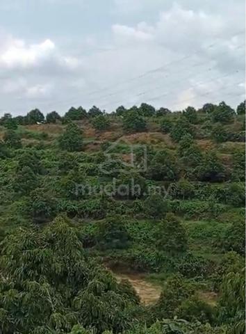 Durian Land for Sale – Bidor, Perak 1