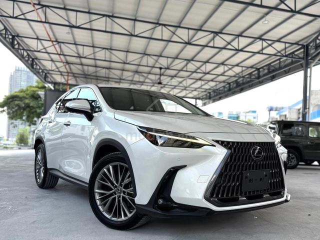 2023 Lexus NX 250 2.5 LUXURY (A) - 1