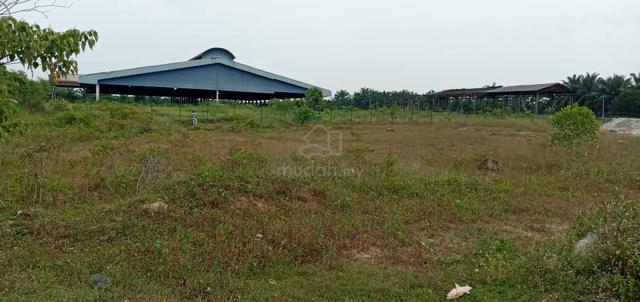 Seri Cheeding Agric Land Industrial Zone Malay Reserve 3.03ac  1