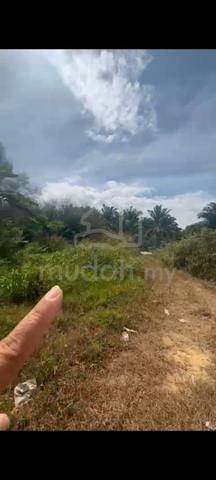 Johor Bahru Agricultural Leasehold Land For Sale (perfect for durian) 1
