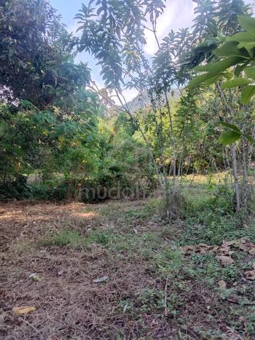 Lokasi Tanah Di Singkir Darat 1