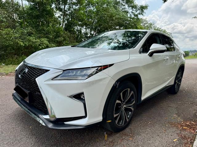 2018 Lexus RX300 2.0 LUXURY (A) - 3