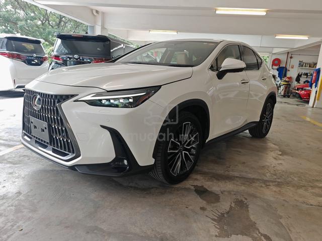 2023 Lexus NX 250 2.5 Version L, Brown Interior - 1