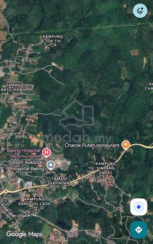 Kebun Getah Di Mukim Baling Untuk Dilepaskan 1
