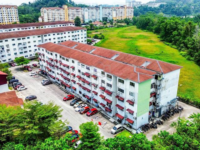 Pangsapuri Damai Utama 1