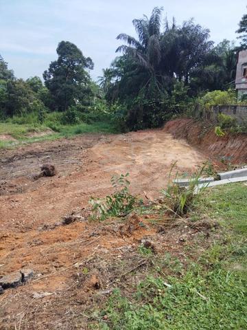 Tanah cantek 1