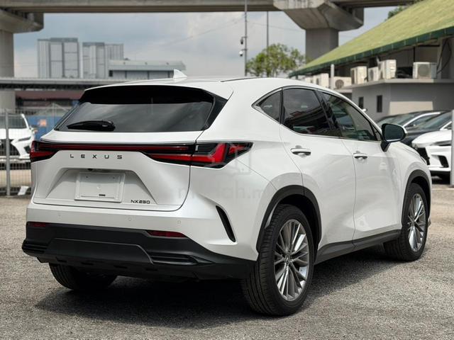 2023 Lexus NX250 LUXURY 2.5 (A) - 2