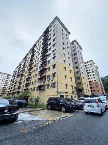 Aman Puri Apartment 1