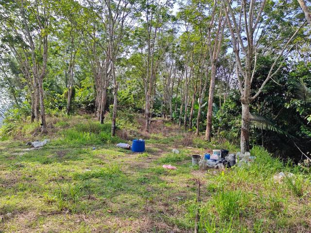 Agriculture Land For Sale Jelebu / Kuala Klawang 1