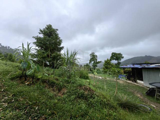 10 Acres Freehold Hilly Durian Farm Facing Mainroad Penjuring Bentong 1