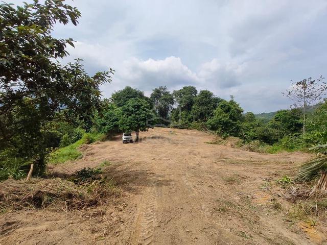 Negeri Sembilan Johol Agricultural Leasehold Land For Sale 1