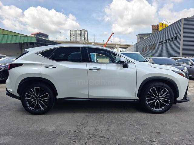 2023 Lexus NX 250 VL S/R 4Cam DIMHUD RedLeather PB - 5