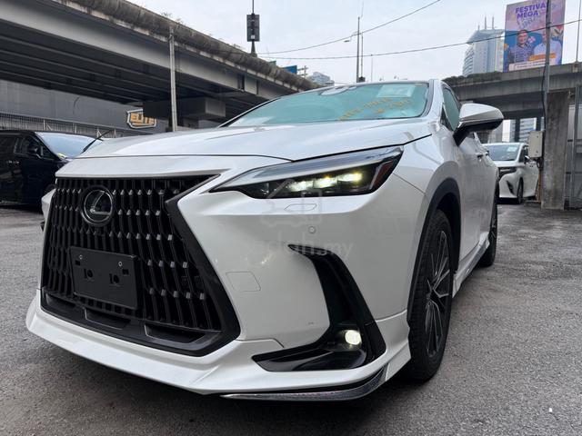 2023 Lexus NX250 Version L Mark Levinson UNREG - 1