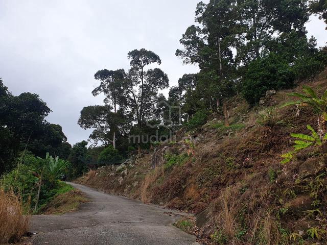 Balik Pulau Land-Tun Sandon with Durians 3