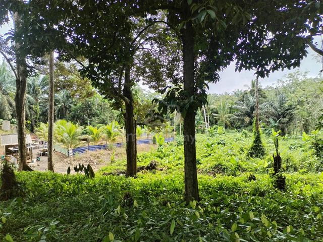 Tanah kebun untuk di jual 1