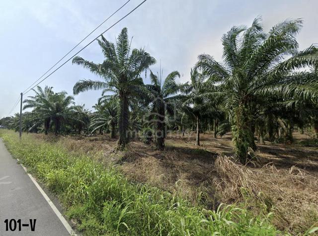 10.5 Acres Zoning Residential at Jln Tok Muda, Kapar Klang for sale🌱 1
