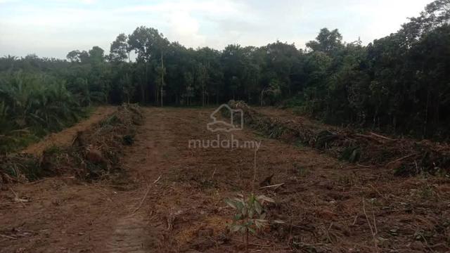 tanah kebun tepi sungai di kuala berang 1
