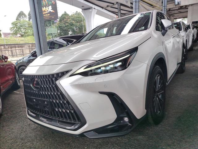 2023 Lexus NX250 LUXURY SE UNREG,4 EYE,BLACK SEATS - 2