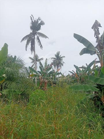 Tanah untuk di jual 1