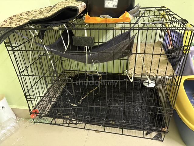 Barang keperluan kucing - photo 2 of 2