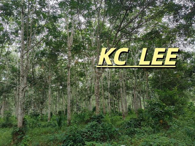 5.56 Acres Agricultural Land (Mountain) For Sale @Pengkalan Hulu,Perak 1