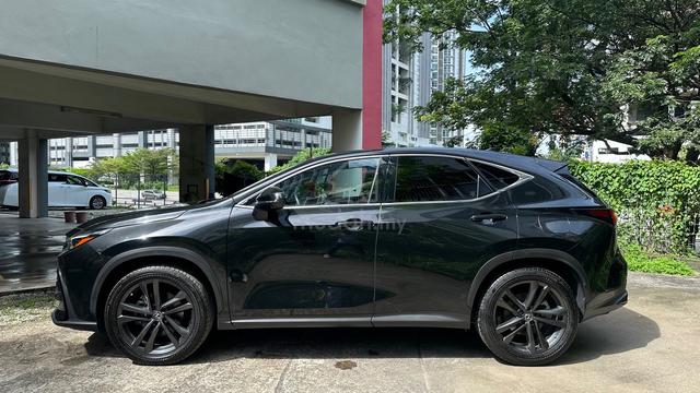 HuD BsM 2023 Lexus NX250 VERSION L LED LIGHTS - 5