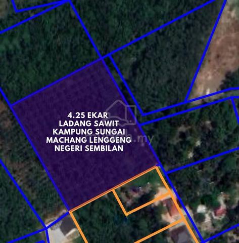 FREEHOLD Land Agricultural 4.25 Ladang Kelapa Sawit Kg Tengah Lenggeng 1