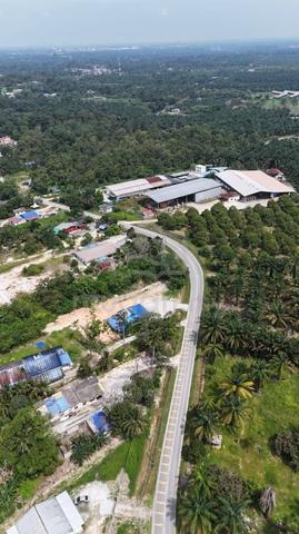 22 Acres Agriculture Land @ Jalan Sawah, Pekan Nanas, Johor 1