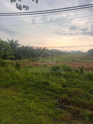 Agricultural Land For Sale 1