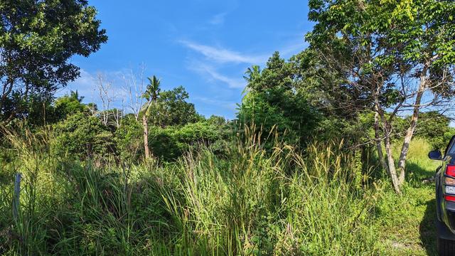 Freehold, Bumi Lot ๐Tanah Lot Banglo di Jaya Gading Kuantan 1