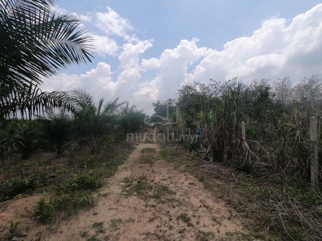 Tanah pertanian di Gemencheh untuk dijual 1