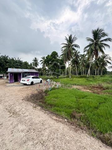 Tanah Kukup Pontian|Hasil kelapa|Tapi jalan 🔥 1