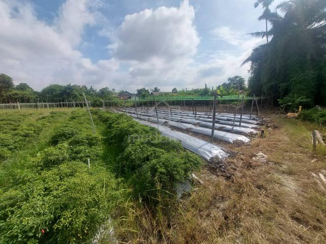Tanah Half Acre 1