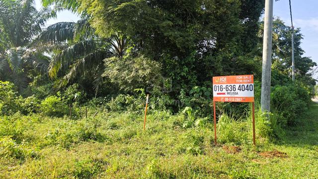 Tanah Kelapa Sawit Hulur Jabor 1