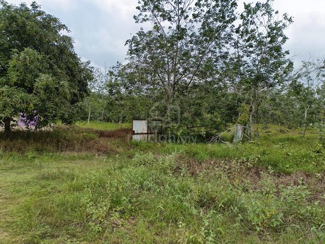 4.131 acres Agri land @Tanjung Agas, Port Dickson, Pasir Panjang, N9 1
