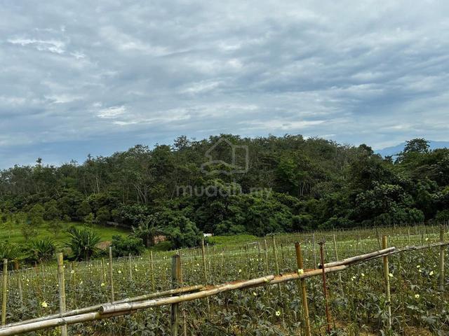 Murah & Freehold Tanah Ulu Yam 1