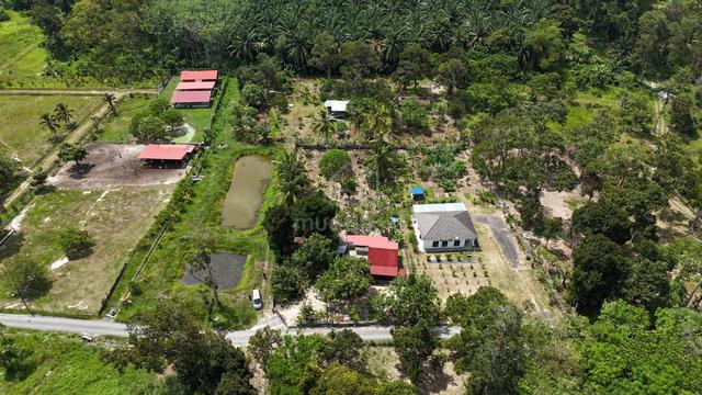 Tanah Kebun CANTIK - Geran Individu Kg Celogeh Ulu Beranang Lenggeng 1