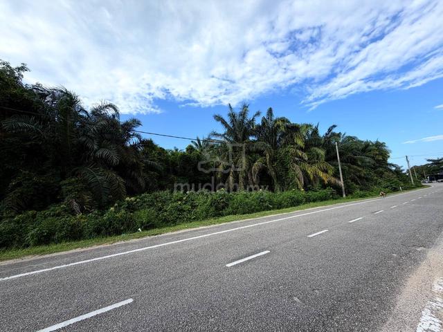 3.86 EKAR TANAH BANGUNAN TEPI JALAN | Freehold | Rezab Melayu 1