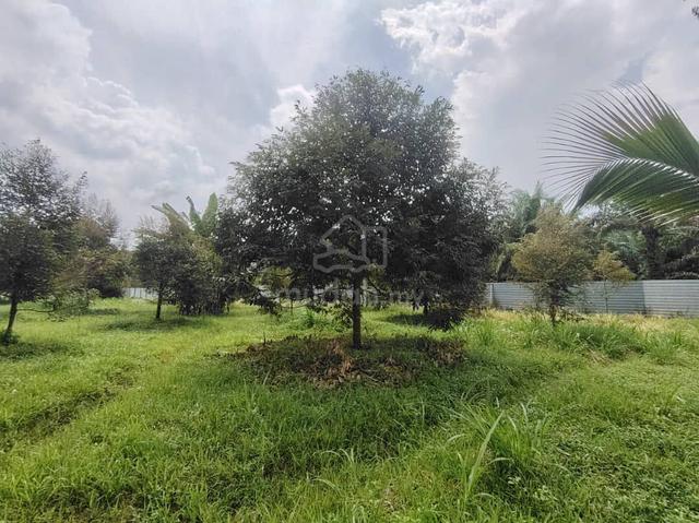 2.87 Acres Agriculture Durian Farm Land Simpang Renggam Johor 1