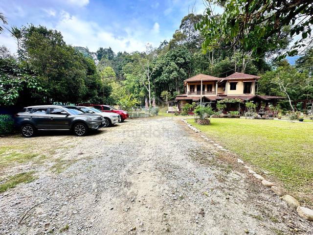 [1.52 Acre] Janda Baik Bentong Tanah dan Rumah Banglo Cul de Sac Dusun 1