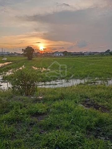 Tanah pertanian MCL untuk dijual 1