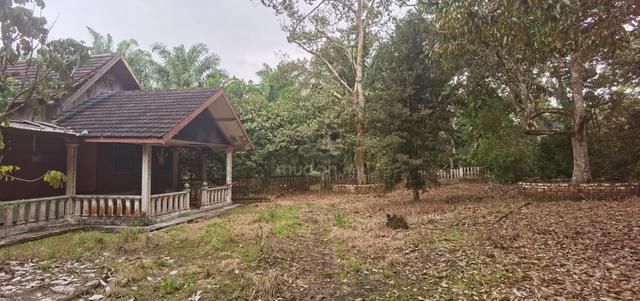 Gunung Pulai 1