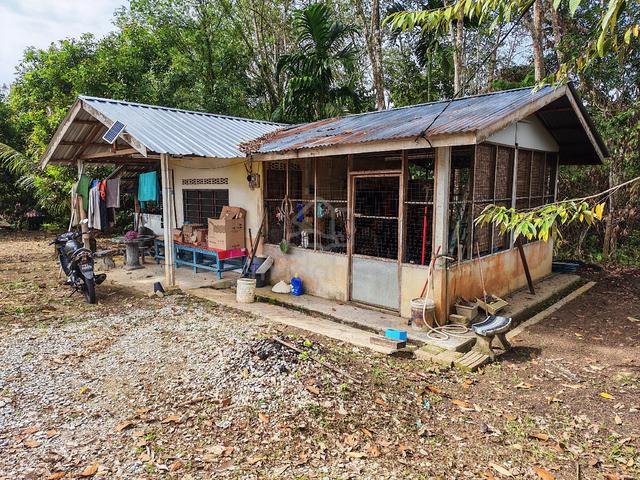 Dusun untuk dijual.. 1