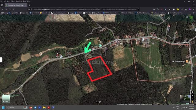 Agriculture Freehold non bumi 1