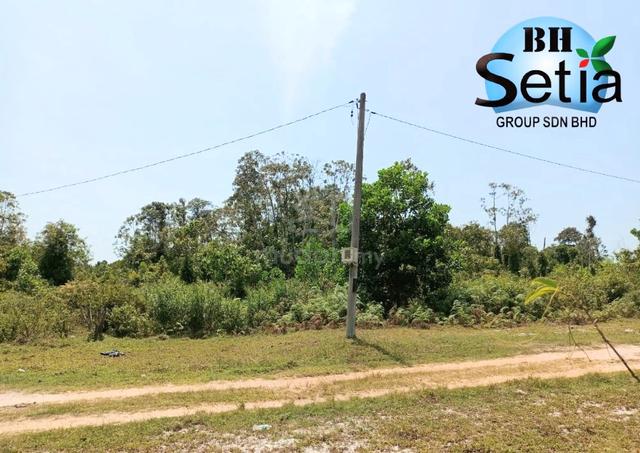 Tanah Pertanian Freehold Untuk Dijual @ Pekan 1
