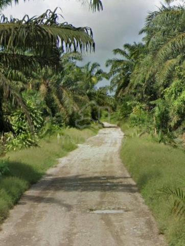 3.73 Acres Agriculture Land @ Jalan Parit Selangor, Pekan Nanas, Johor 1