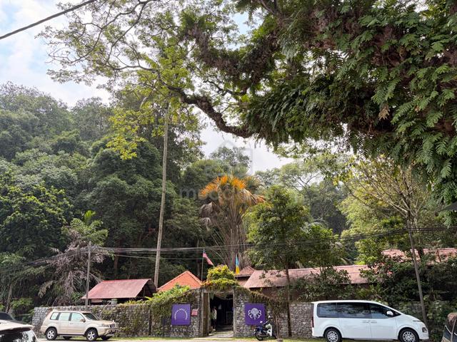 FOR SALE: 12 Acre Land_Teluk Bahang_Freehold 1